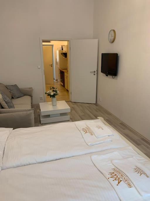 Helen Homestay Vysehrad Praga Esterno foto